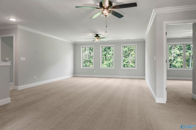 143 Brier View Drive, Meridianville, AL 35759