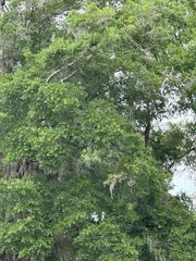 3406 SE 15TH AVENUE, Gainesville, FL 32641
