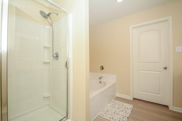 23044 Bellini Drive, Magnolia, TX 77355