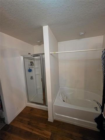 14313 HADDON MIST DRIVE, Wimauma, FL 33598