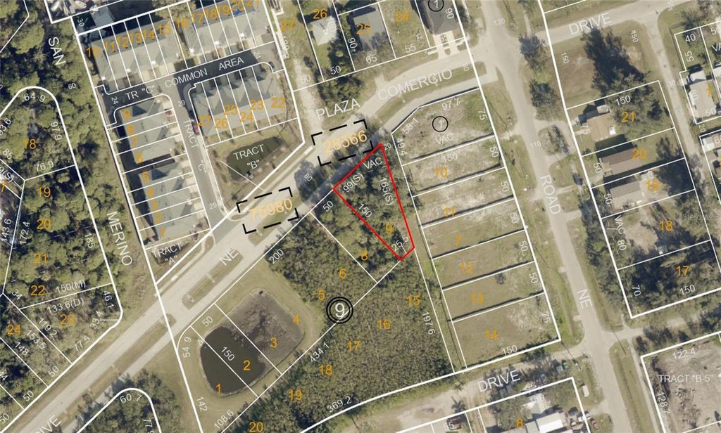 SAVONA DRIVE NE, St Petersburg, FL 33702