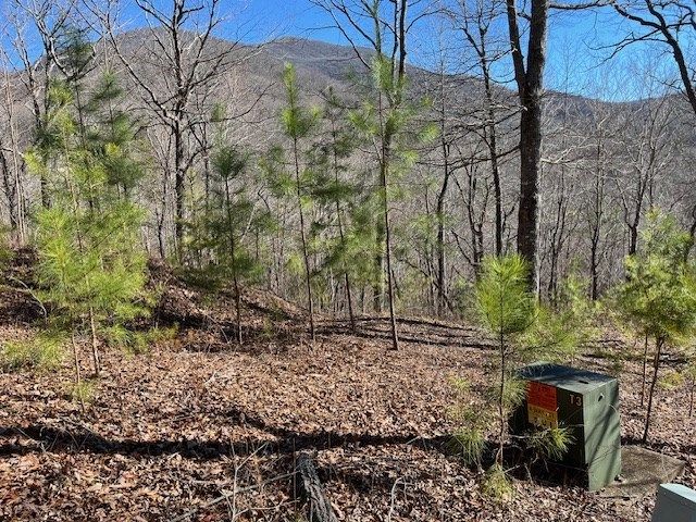 Lot 10 Mountain Valley View, Hiawassee, GA 30546