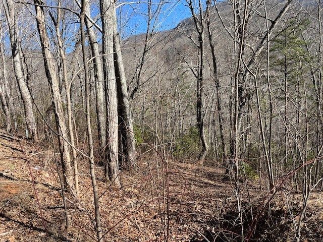 Lot 10 Mountain Valley View, Hiawassee, GA 30546