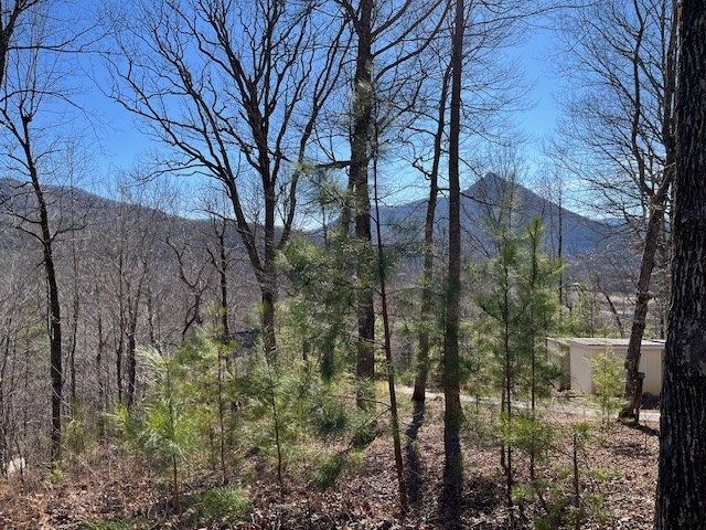 Lot 10 Mountain Valley View, Hiawassee, GA 30546