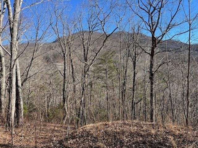 Lot 10 Mountain Valley View, Hiawassee, GA 30546