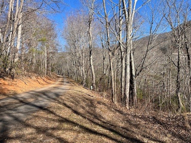 Lot 10 Mountain Valley View, Hiawassee, GA 30546