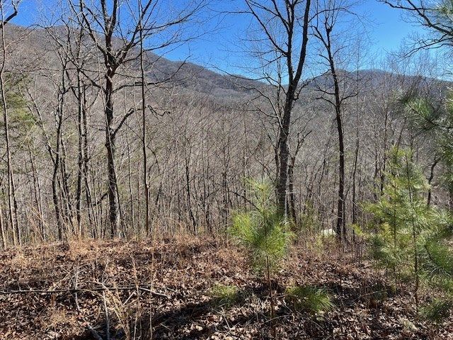 Lot 10 Mountain Valley View, Hiawassee, GA 30546