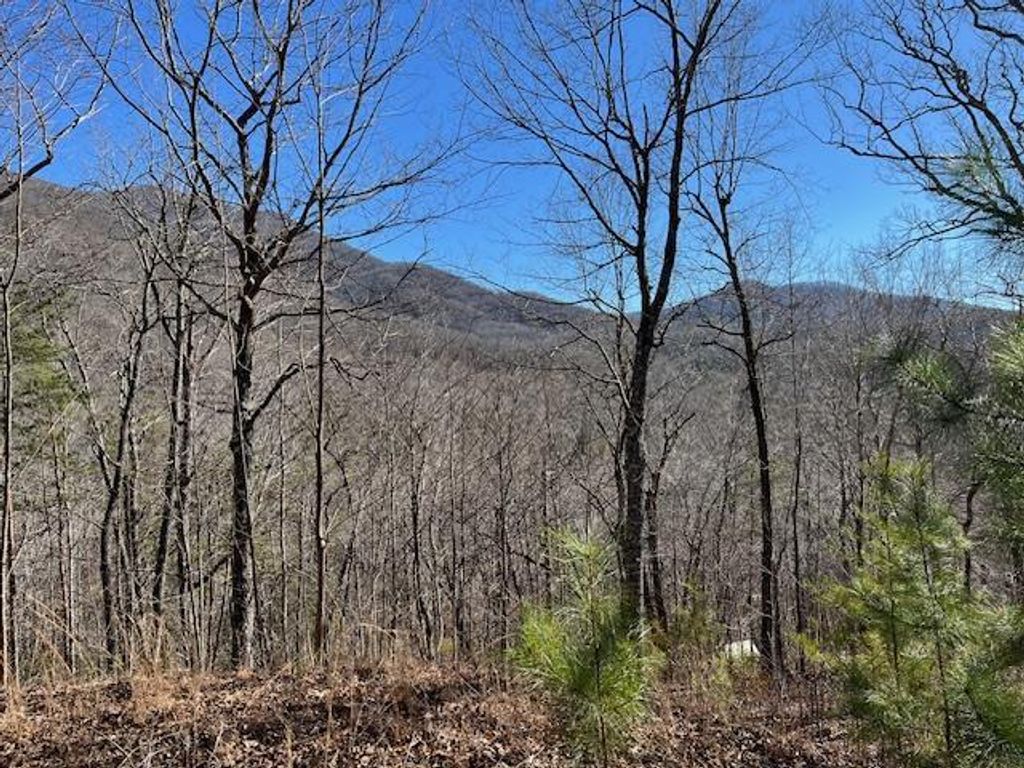 Lot 10 Mountain Valley View, Hiawassee, GA 30546