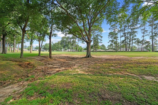 13314 Hilton Head Drive, Montgomery, TX 77356