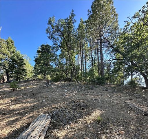 41089 Maryland Road, Big Bear Lake, CA 92315