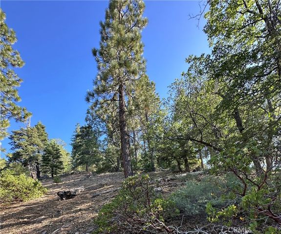 41089 Maryland Road, Big Bear Lake, CA 92315