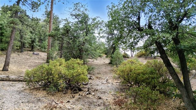 41089 Maryland Road, Big Bear Lake, CA 92315