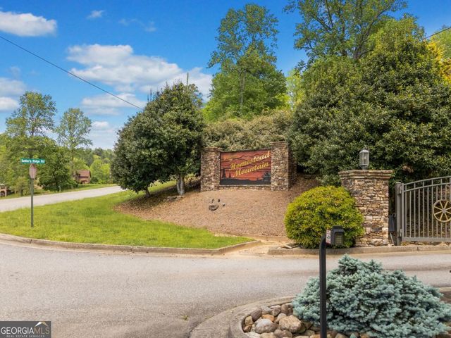 1172 Settlers Ridge Road 28, Ellijay, GA 30540