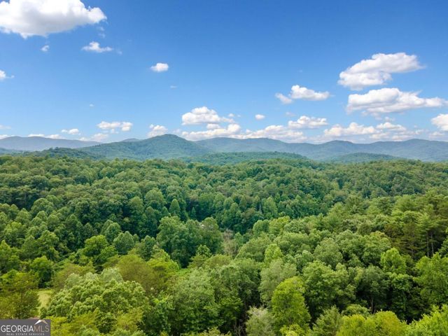 1172 Settlers Ridge Road 28, Ellijay, GA 30540