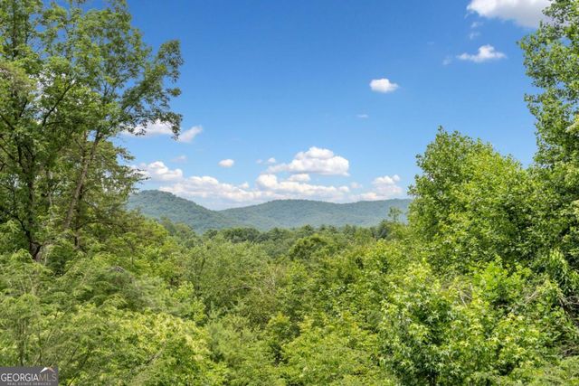 1172 Settlers Ridge Road 28, Ellijay, GA 30540