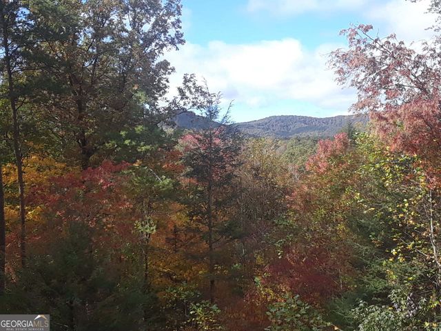 1172 Settlers Ridge Road 28, Ellijay, GA 30540