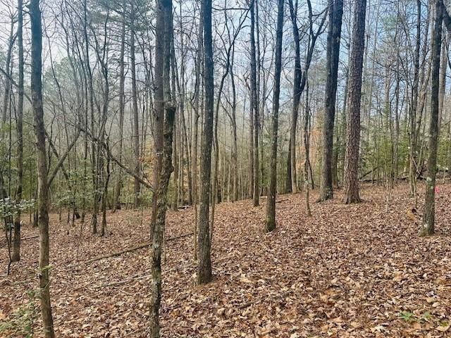 Lot 28 Fern Park Drive, Dawsonville, GA 30534