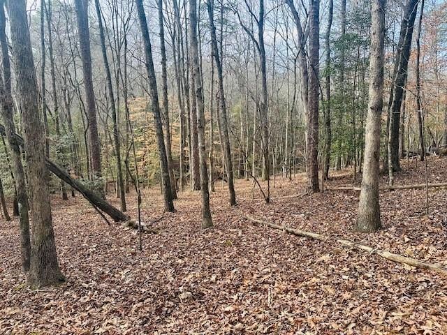 Lot 28 Fern Park Drive, Dawsonville, GA 30534