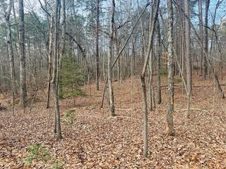Lot 28 Fern Park Drive, Dawsonville, GA 30534