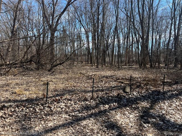 17300 Merriman Road N, Livonia, MI 48152