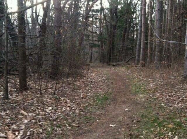 82078 North Court, Coloma, MI 49038