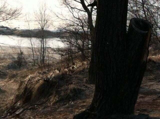 82078 North Court, Coloma, MI 49038