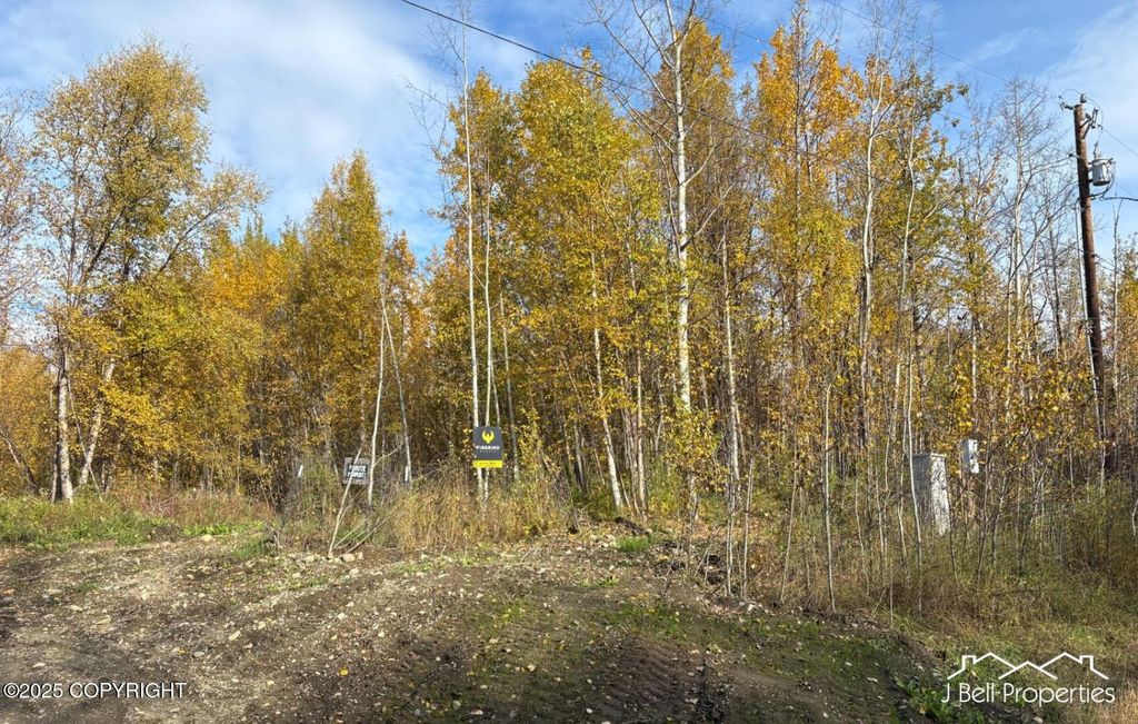 L6B E Duchess Drive, Palmer, AK 99645