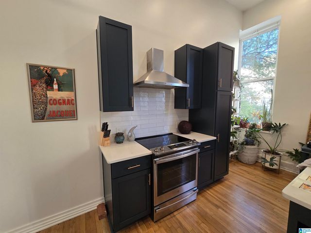 300 20th St N Apt 201, Birmingham, AL 35203