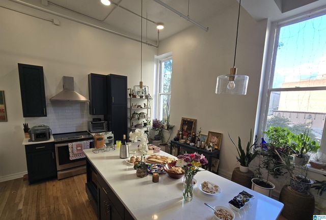 300 20th St N Apt 201, Birmingham, AL 35203