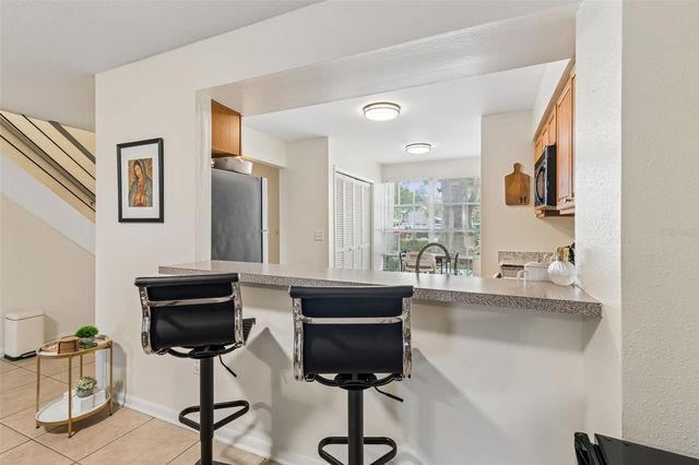 13813 FLETCHERS MILL DRIVE, Tampa, FL 33613