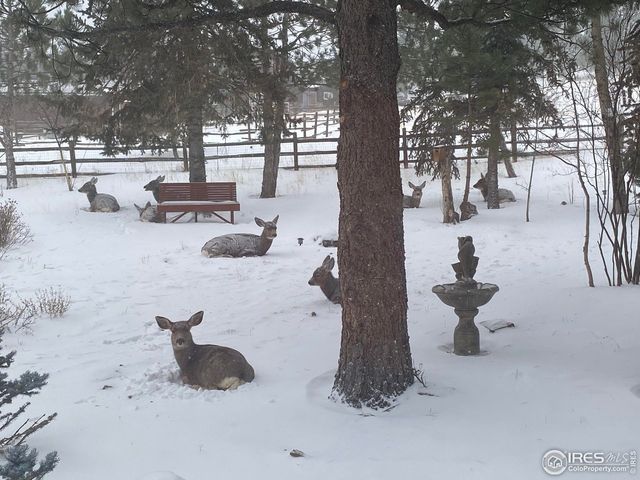 2441 Spruce Ave, Estes Park, CO 80517