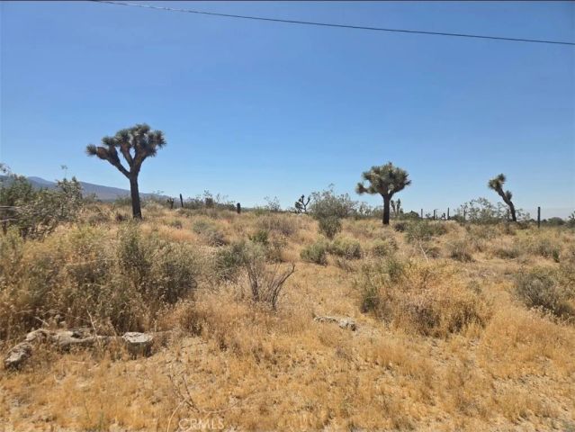 11524 Wintergreen Rd, Pinon Hills, CA 92372