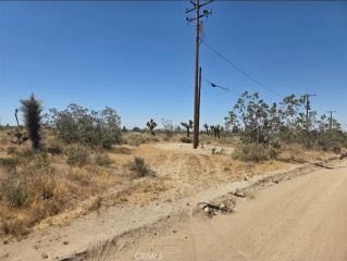 11524 Wintergreen Rd, Pinon Hills, CA 92372