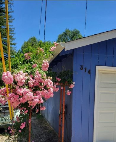 314 Riverside Park Drive, Ben Lomond, CA 95005