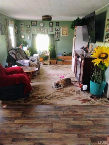 479 Oak Hill Drive Road, Houston, MO 65483