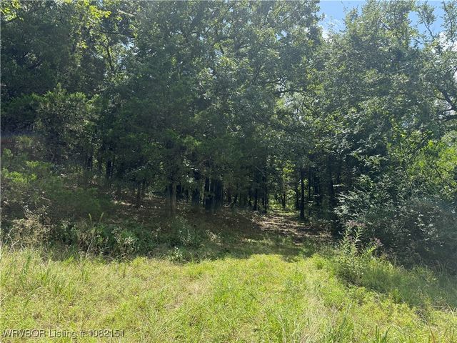 513 Park Avenue, Mansfield, AR 72944