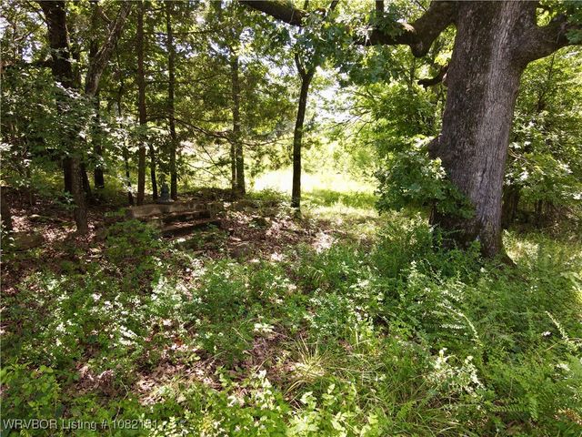 513 Park Avenue, Mansfield, AR 72944