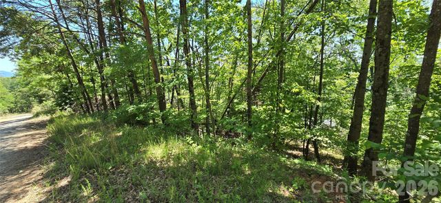 Lot 7 Pinnacle Parkway, Union Mills, NC 28167