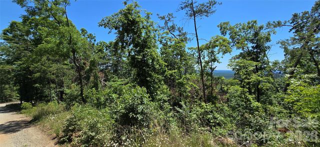 Lot 7 Pinnacle Parkway, Union Mills, NC 28167