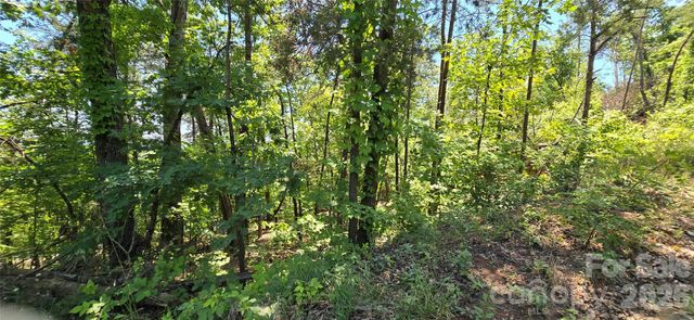 Lot 7 Pinnacle Parkway, Union Mills, NC 28167
