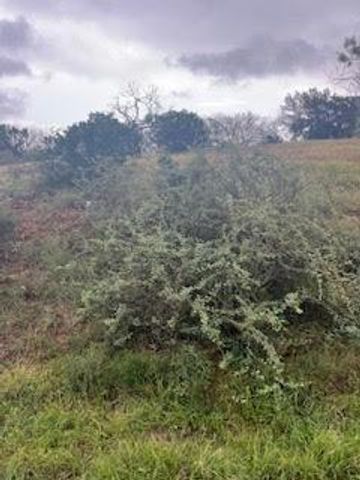 W25005 Apache Tears, Horseshoe Bay, TX 78657