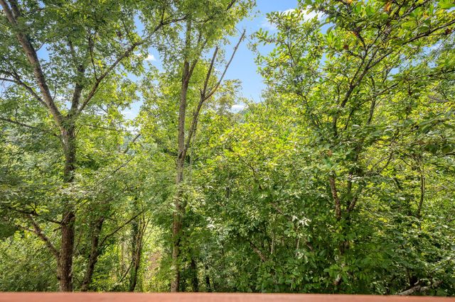 1555 Gassaway Main St, Liberty, TN 37095