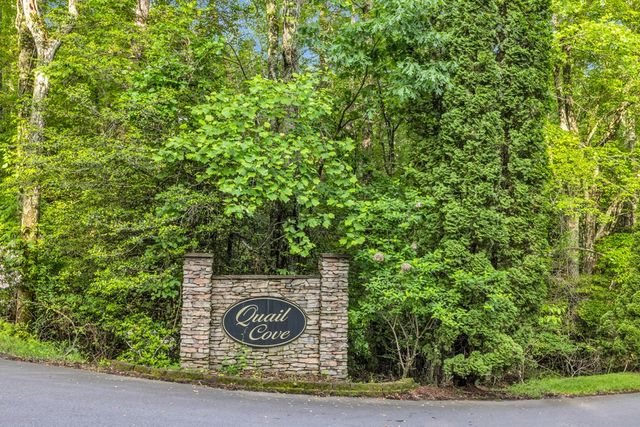 805 Quail Cove Circle, Warne, NC 28909