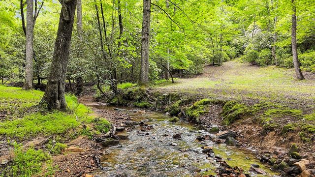 805 Quail Cove Circle, Warne, NC 28909