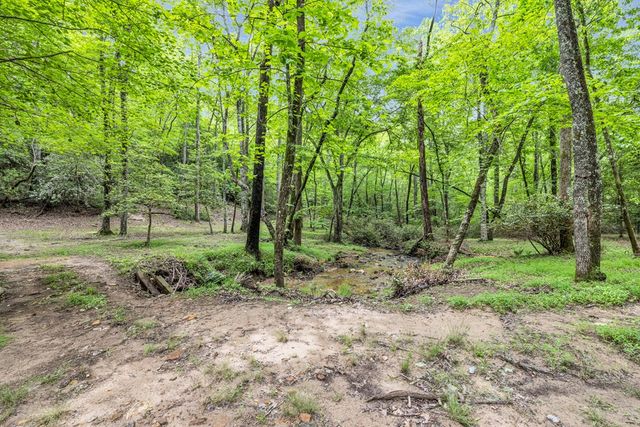 805 Quail Cove Circle, Warne, NC 28909