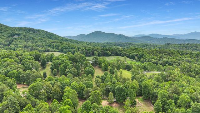 805 Quail Cove Circle, Warne, NC 28909