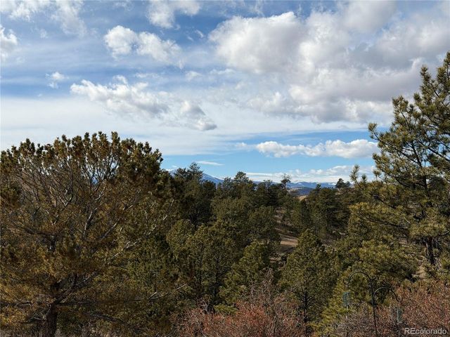 587 Willow St, Hartsel, CO 80449