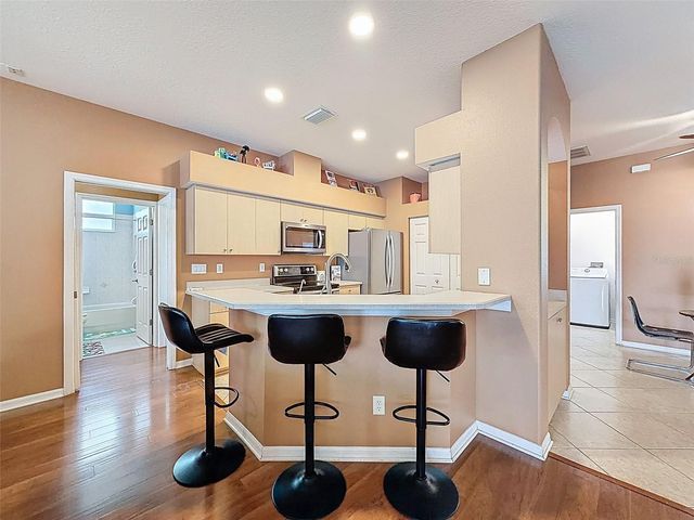 1828 SUNRISE DUNES COURT, Tarpon Springs, FL 34689