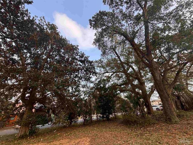 1005 W Lloyd St, Pensacola, FL 32503