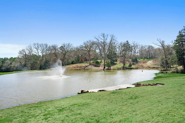 300 N County Road 1865, Grapeland, TX 75844
